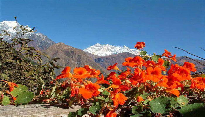 annapurna short trek