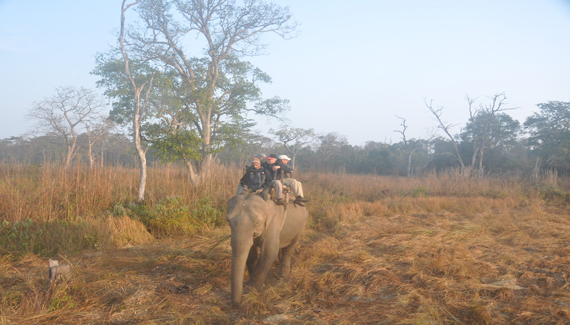 bardia national park